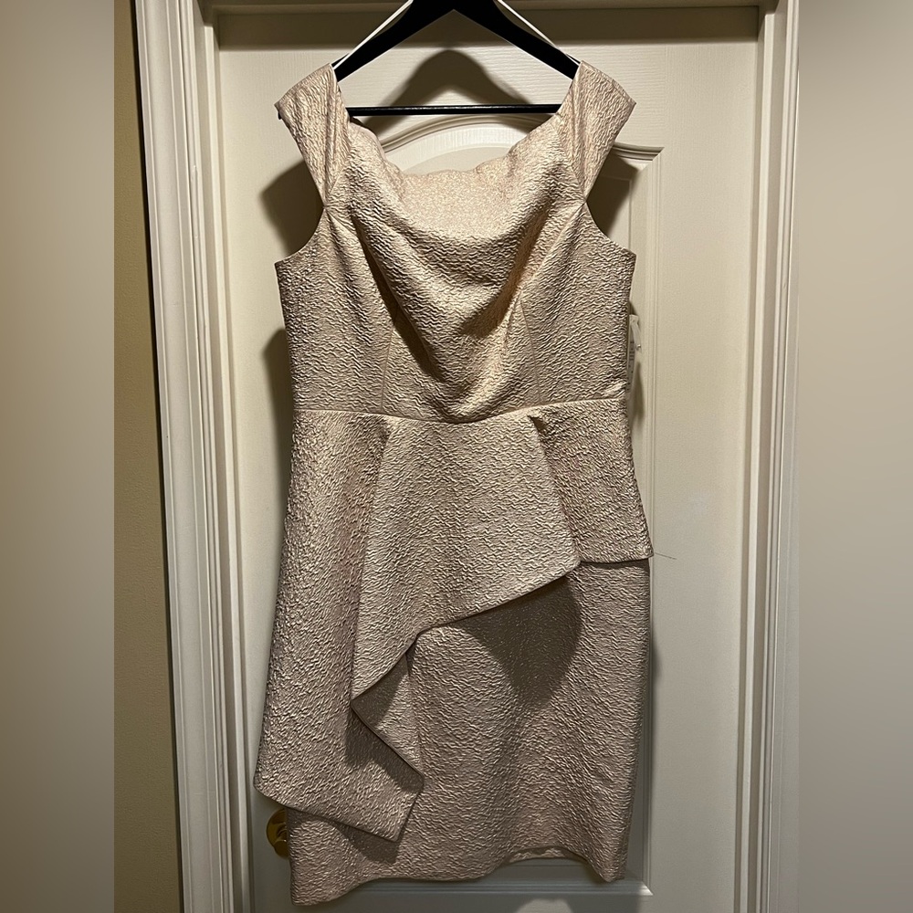 Teri Jon Beige Satin Dress